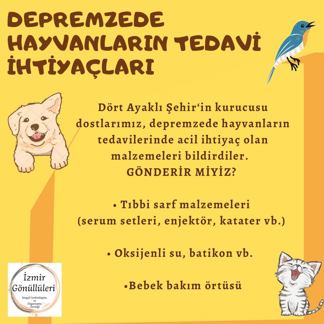 Sokak Hayvanlarının Tedavisi ve Korunması